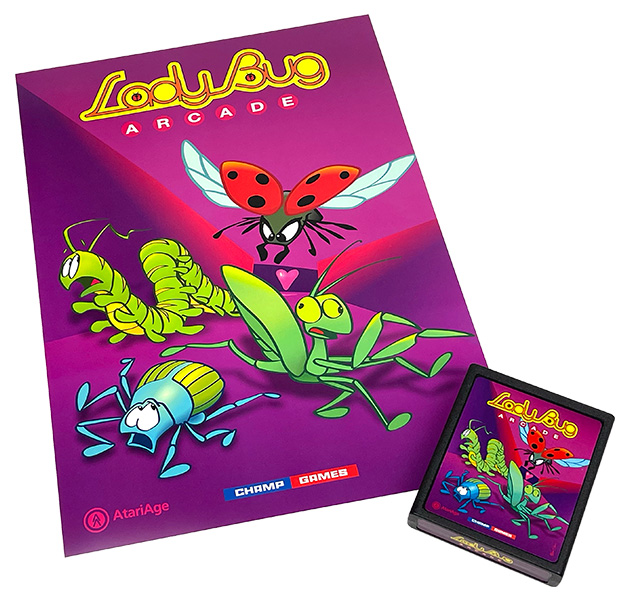 Lady Bug Arcade Poster