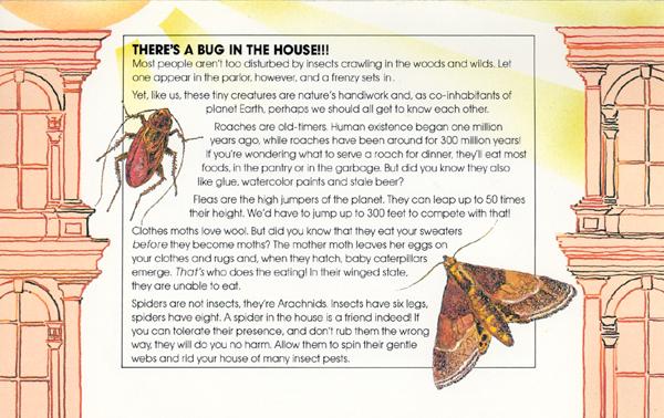 Click for Next Page.