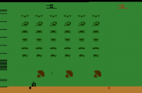 Garden Invaders