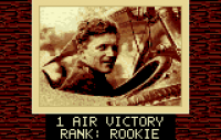 Warbirds - Screenshot